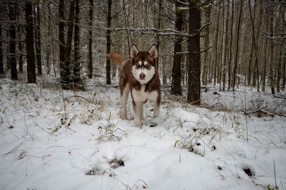 Photograph by Юлия Карпова