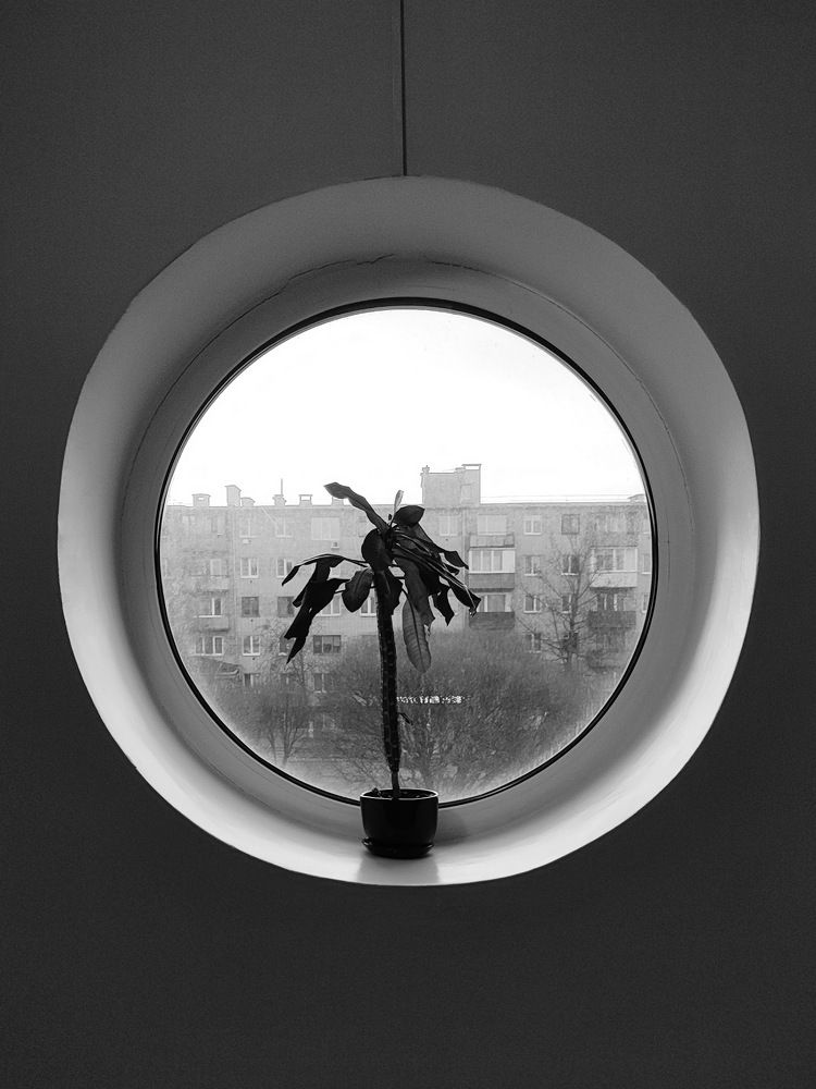 Photograph by Ольга Сучкова