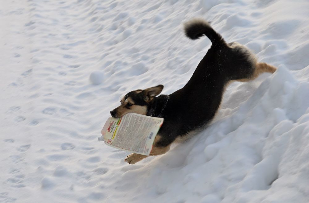 Photograph by Александр Карпенко