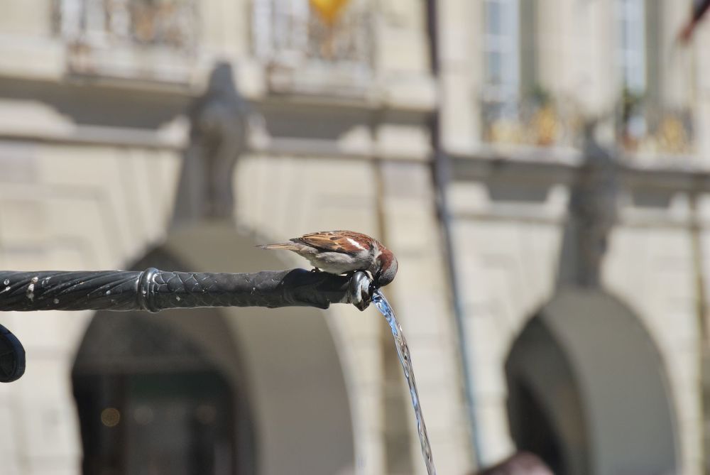 Photograph by Александр Карпенко