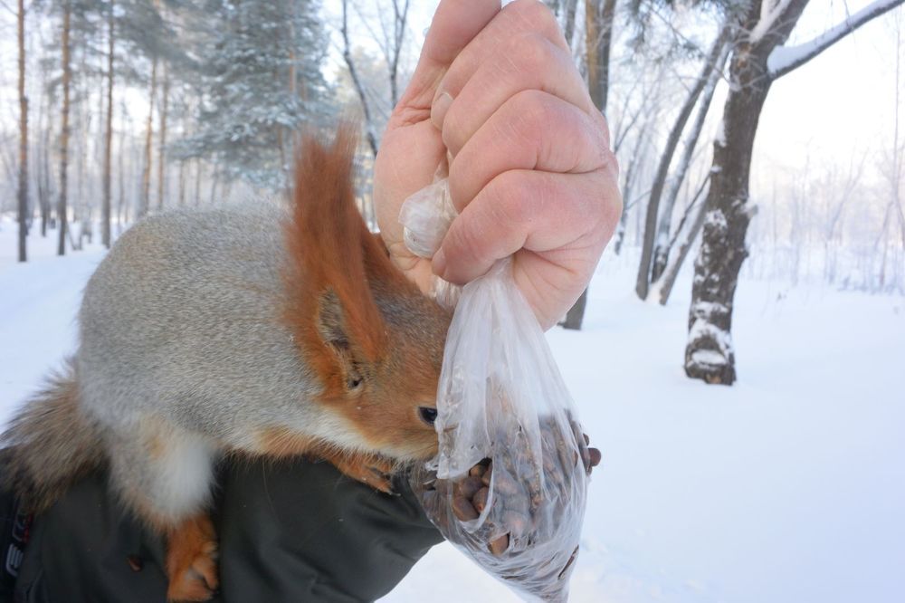 Photograph by Александр Карпенко