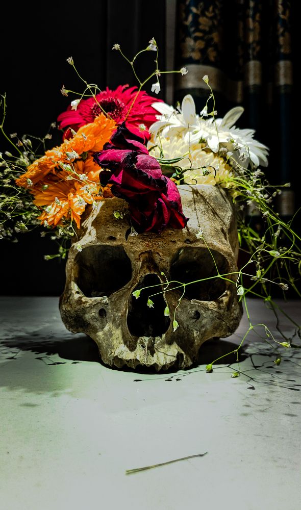 'My colourful thoughts that died long ago'