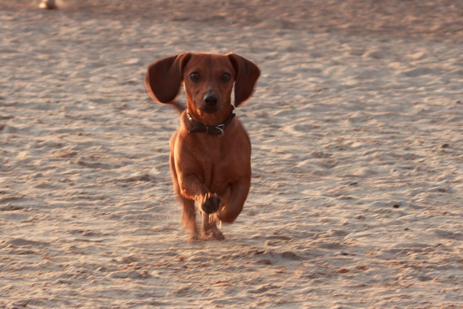 Photo #9792564