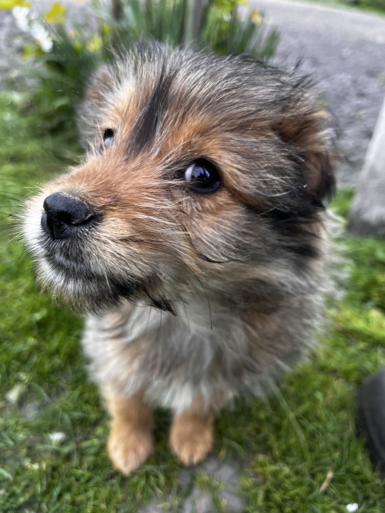 Photograph by Alina Tsilyk