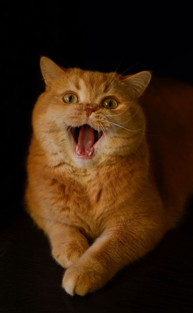 Photograph by Ирина Хламова