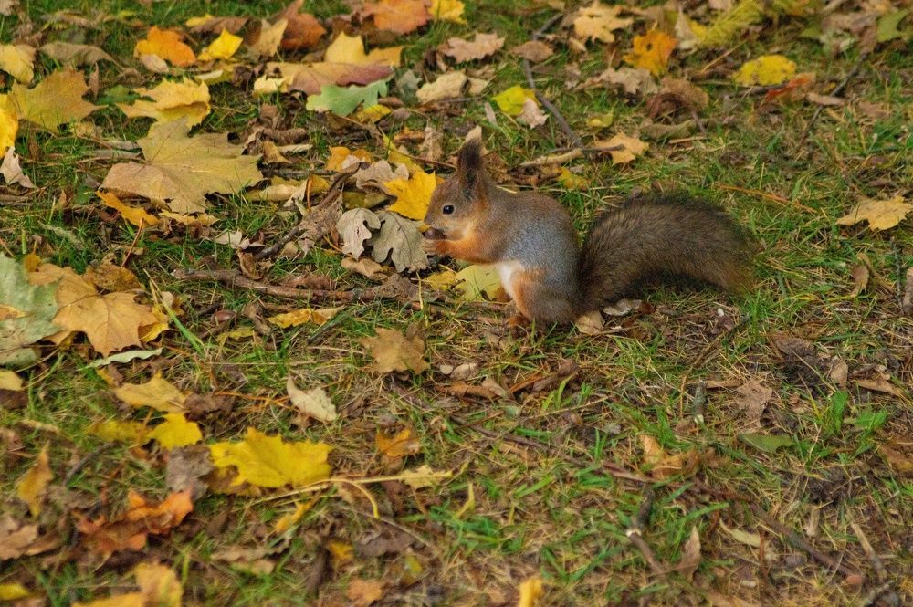 Фотография автора Ольга Малкова