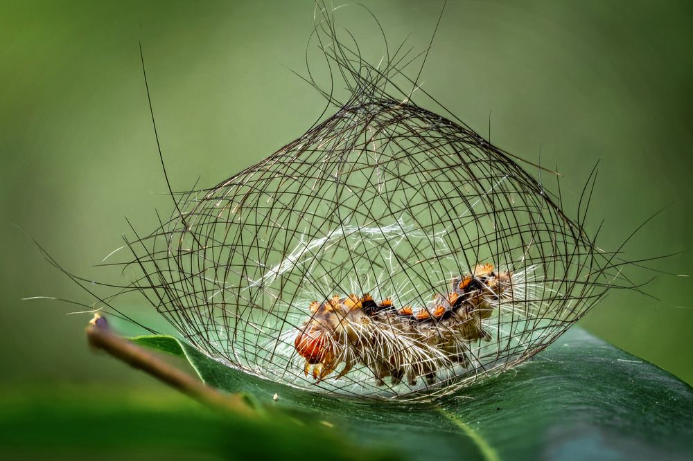 Фотография автора Tran Anh Tuan