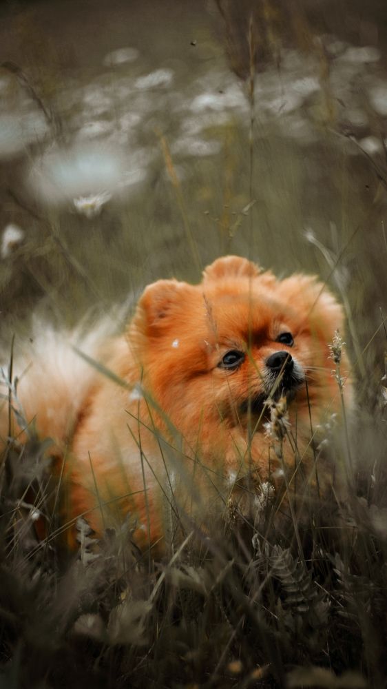 Photograph by Kostantin Belonogov