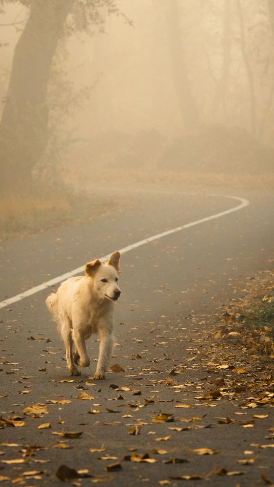 Photograph by Kostantin Belonogov