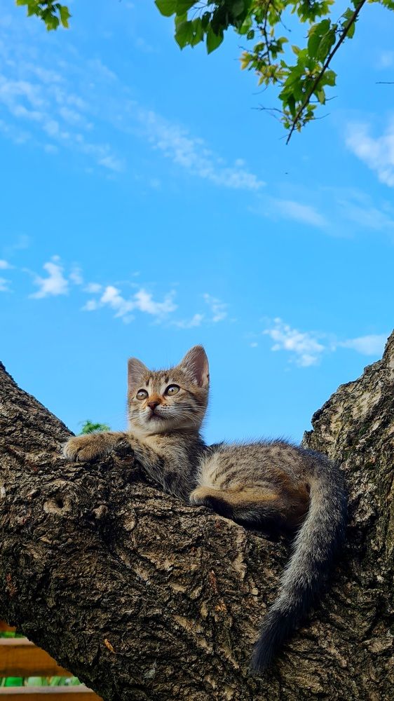 Photograph by Дарья Тимирева