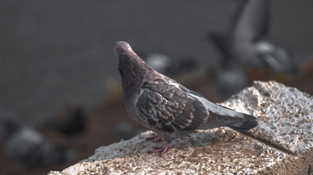 Photograph by Kostantin Belonogov