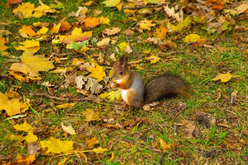 Фотография автора Ольга Малкова