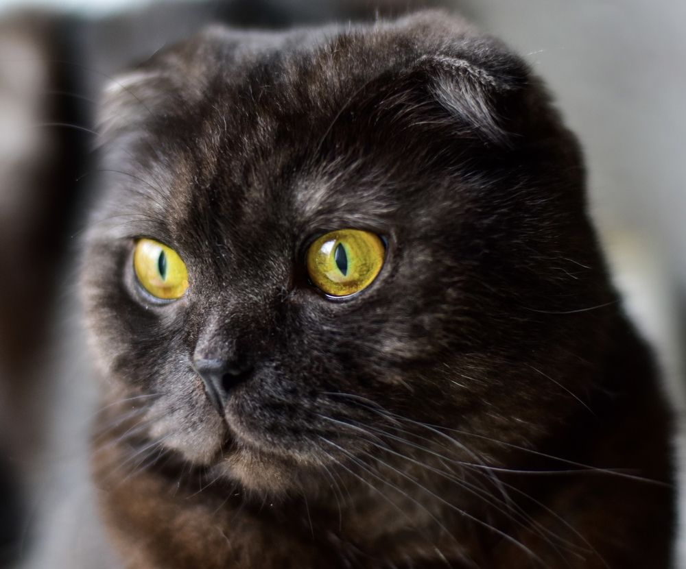 Photograph by Наталья Ситова