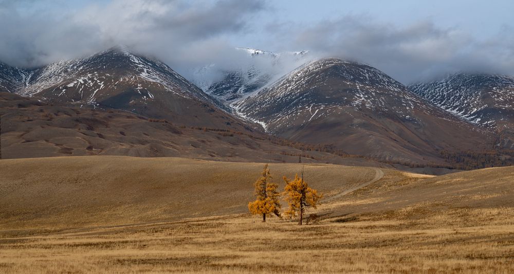 Photograph by Виктория Мишина