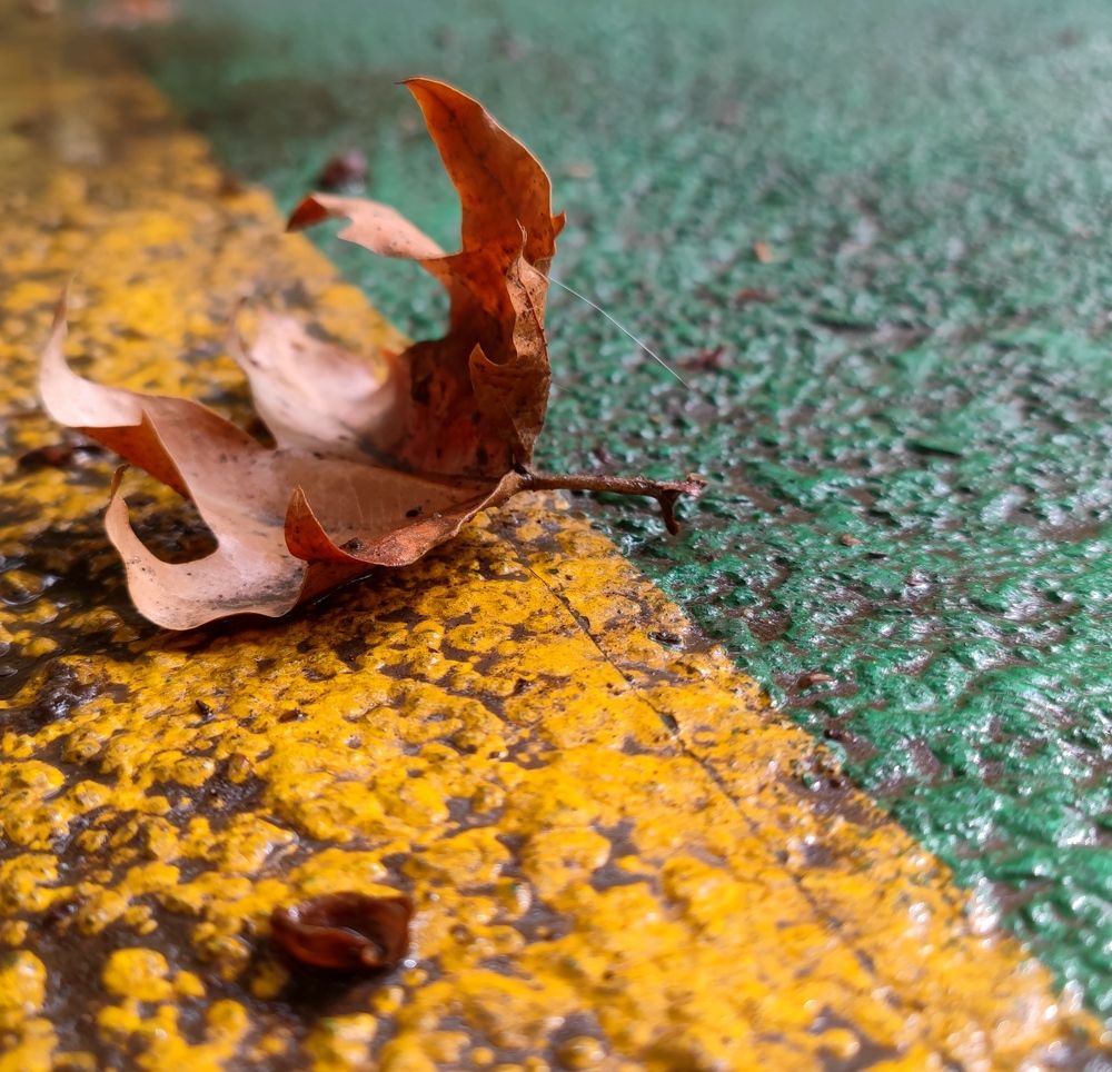 Photograph by kamran shirani