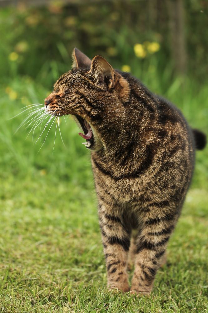 Photograph by Наталья Гайдукевич