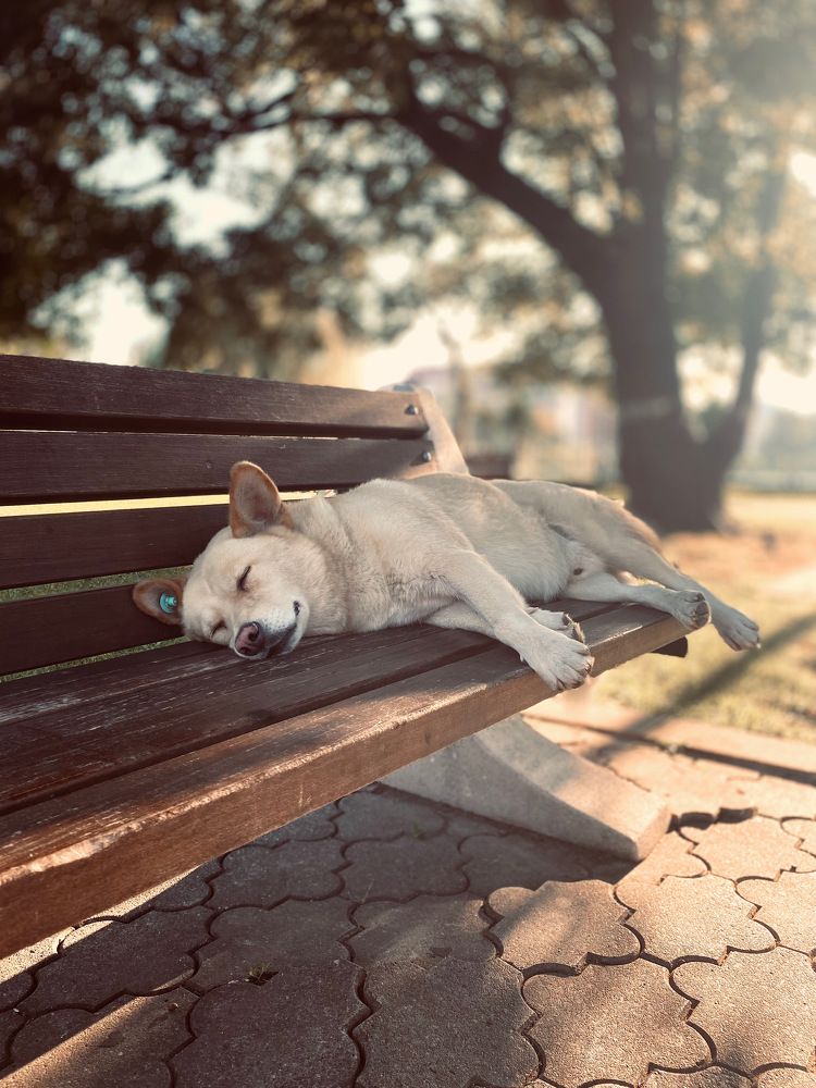 Photograph by Anastasiia