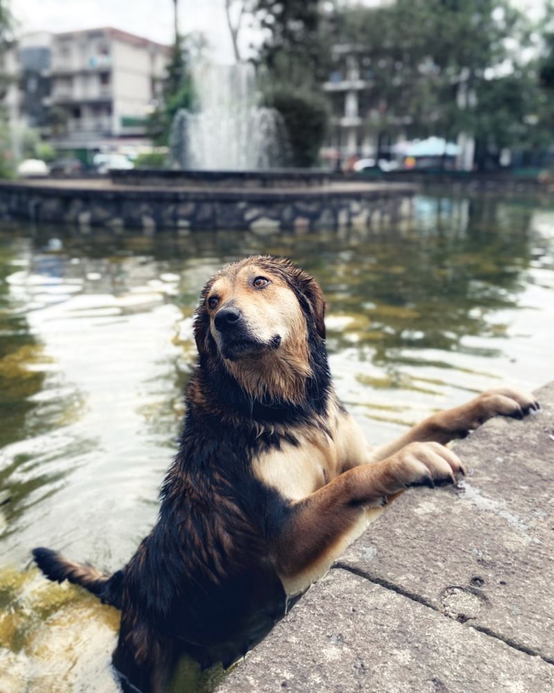 Photograph by Anastasiia