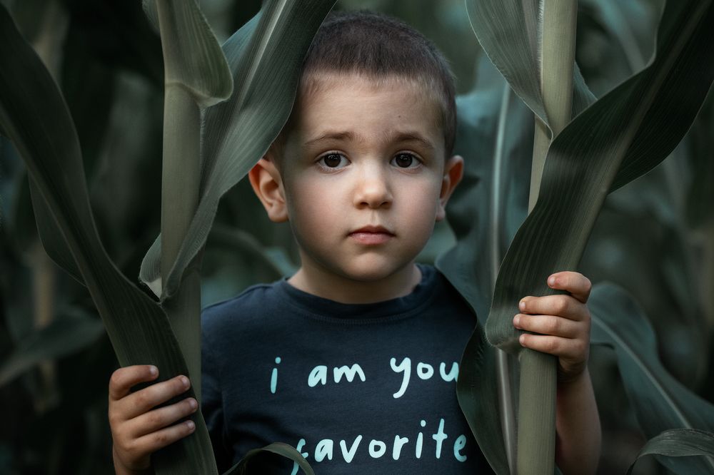 Photograph by Völgyesi Attila