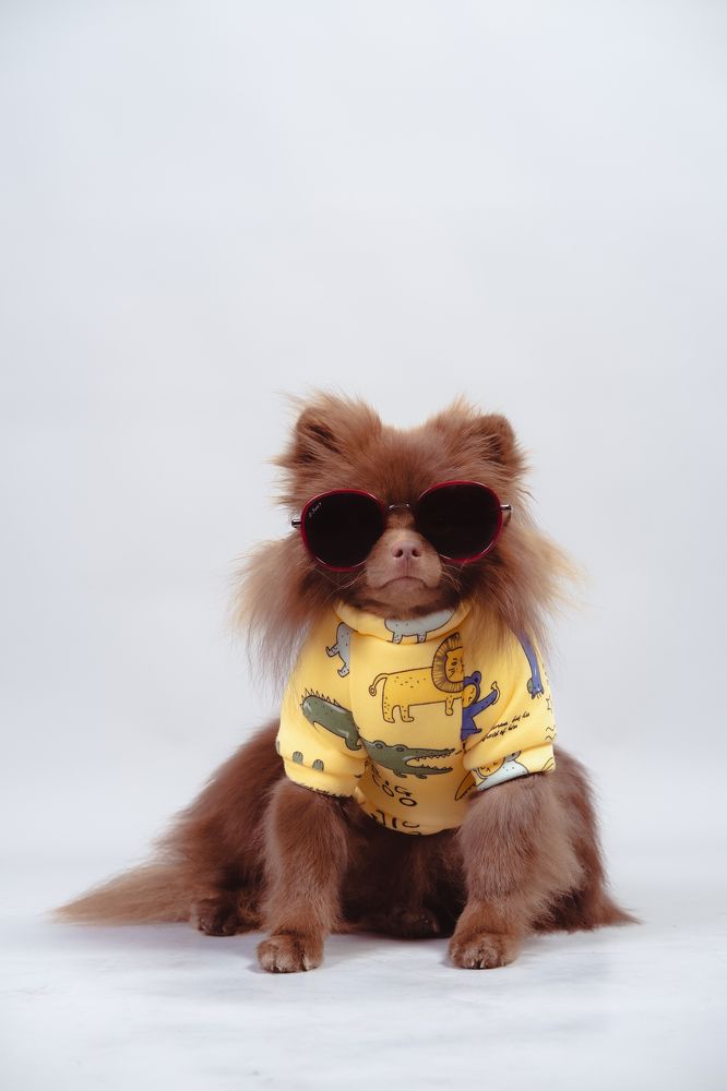 Фотография автора Марат Мурсалимов