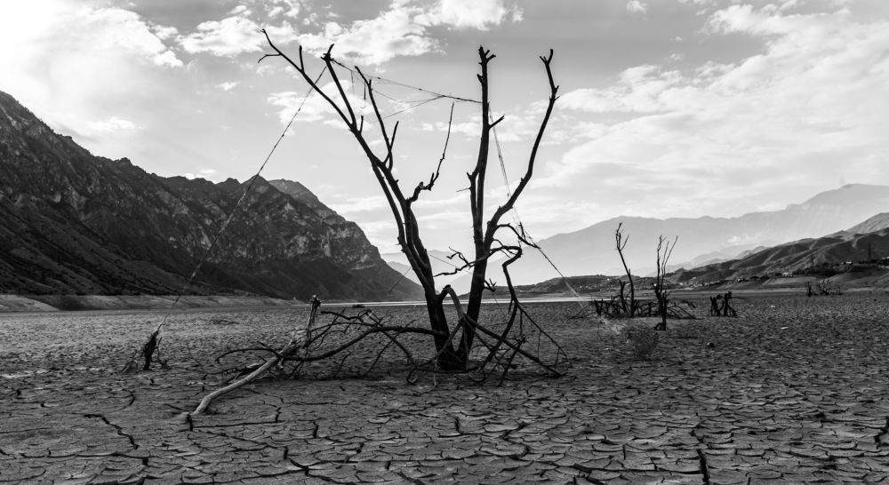 Жизнь без воды.