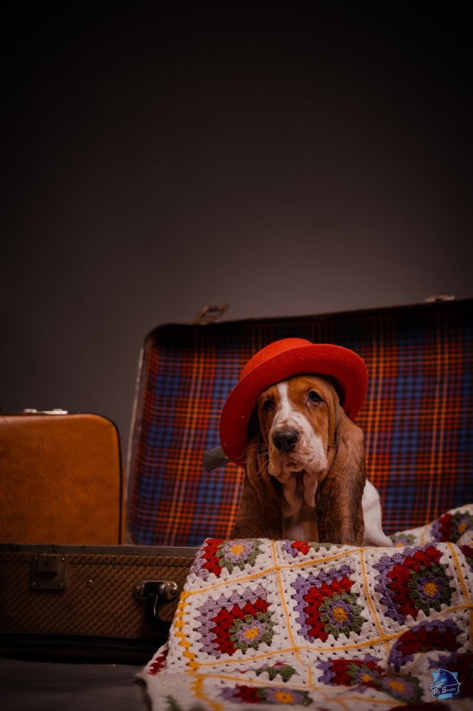 Фотография автора Марат Мурсалимов