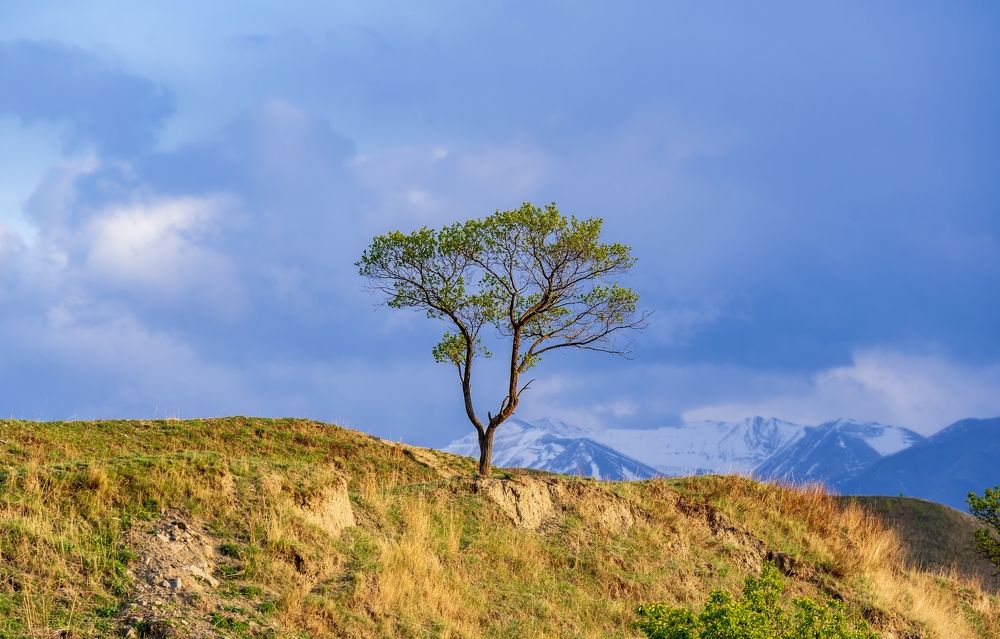 Photograph by Ольга Ченцова