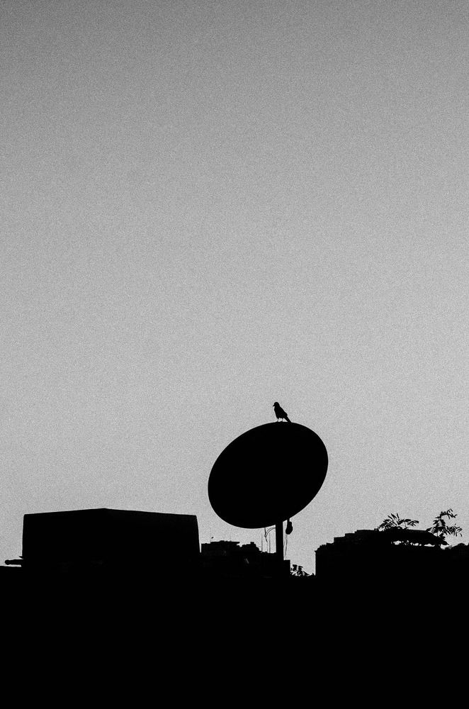 Photograph by Андрей Савёлов