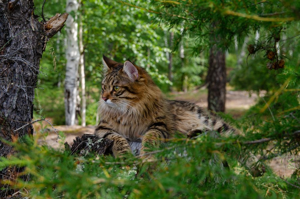 Photograph by Алексей Александрович