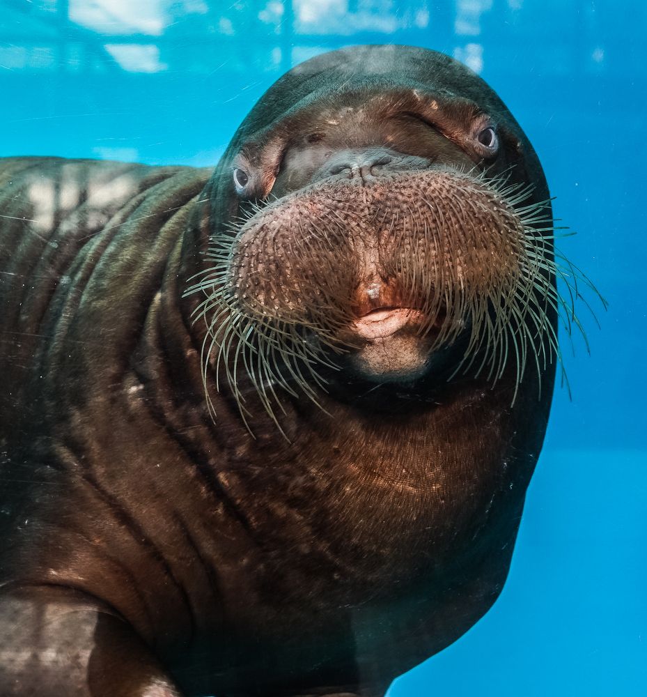 Photograph by Владимир Орлов