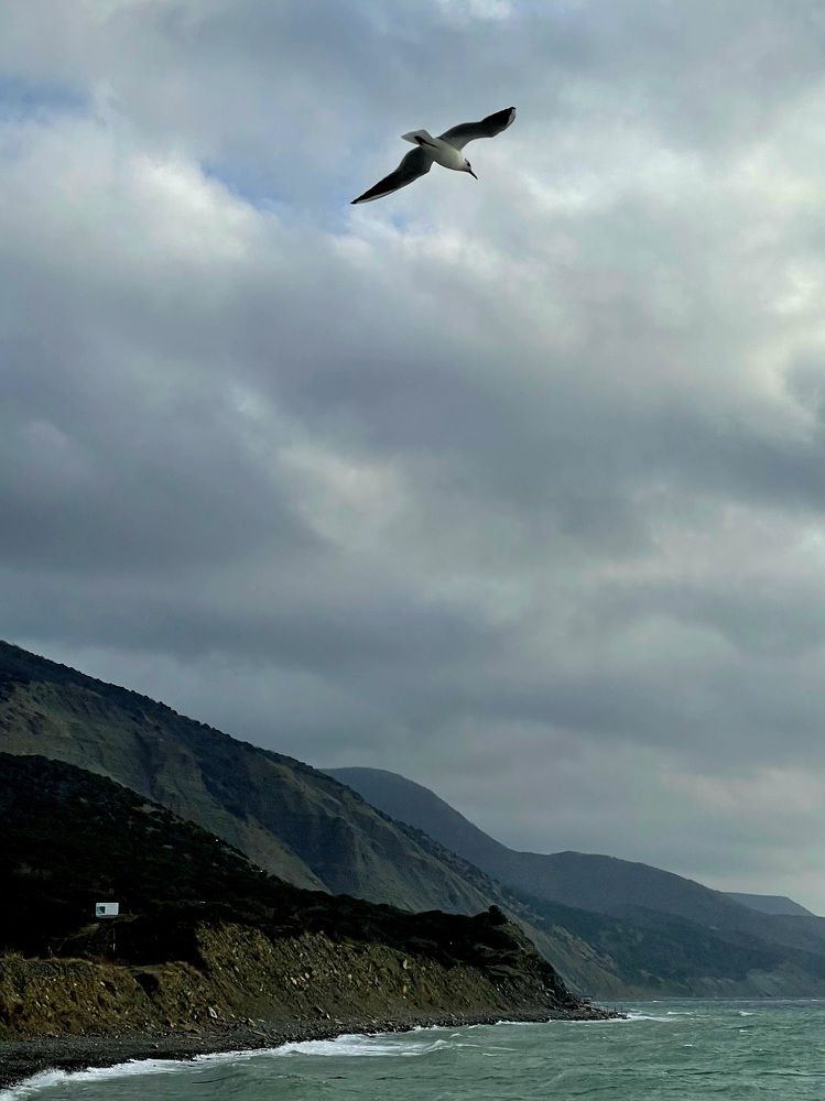 Photograph by Татьяна Токарева