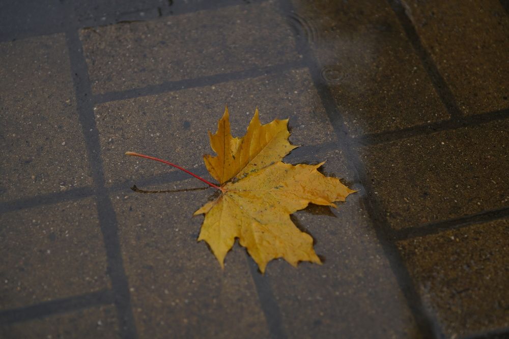 Photograph by Владимир Орлов