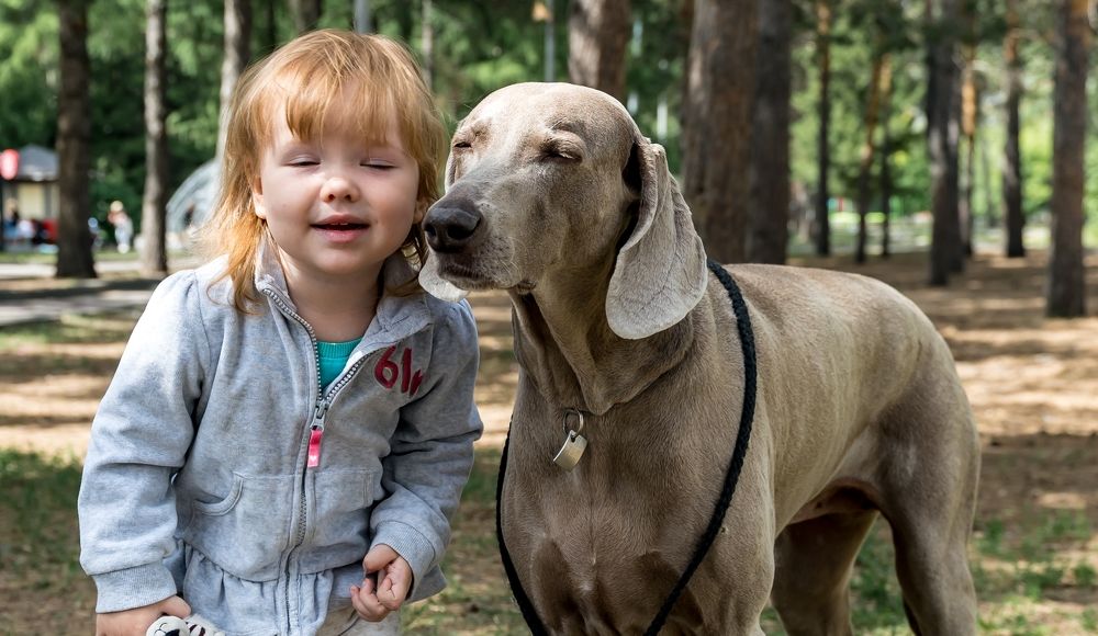 Photograph by Ольга Ченцова