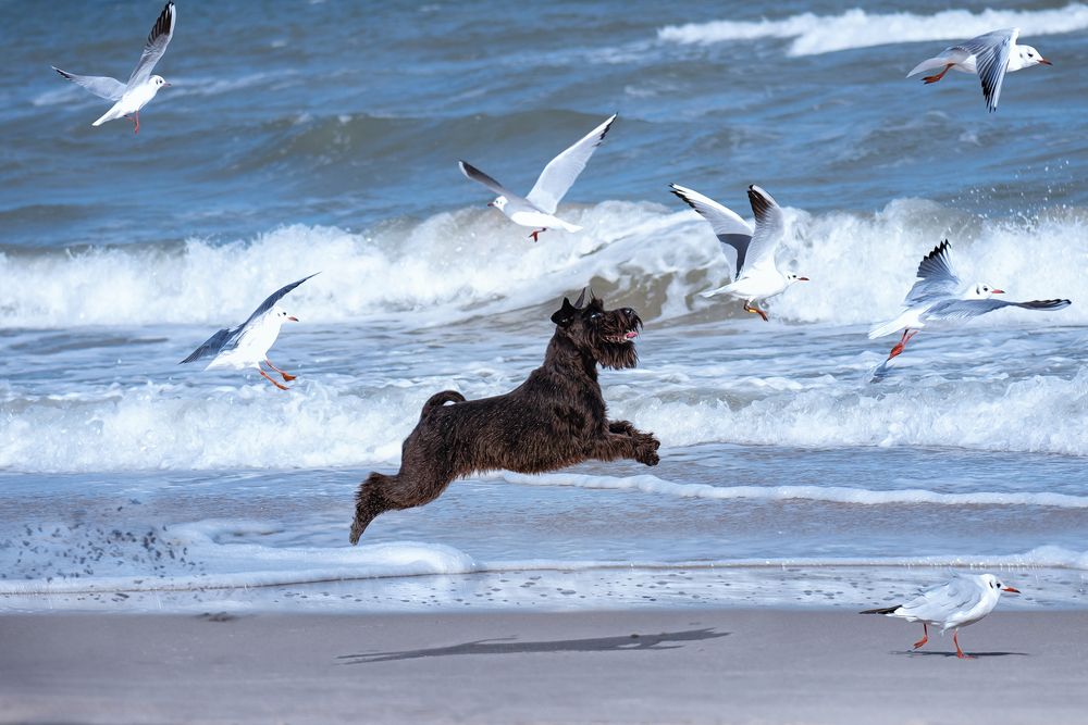 Photograph by Татьяна Полякова