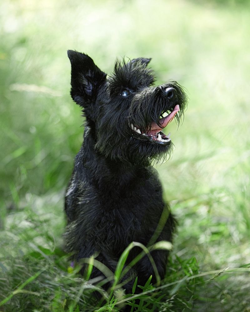 Photograph by Татьяна Полякова