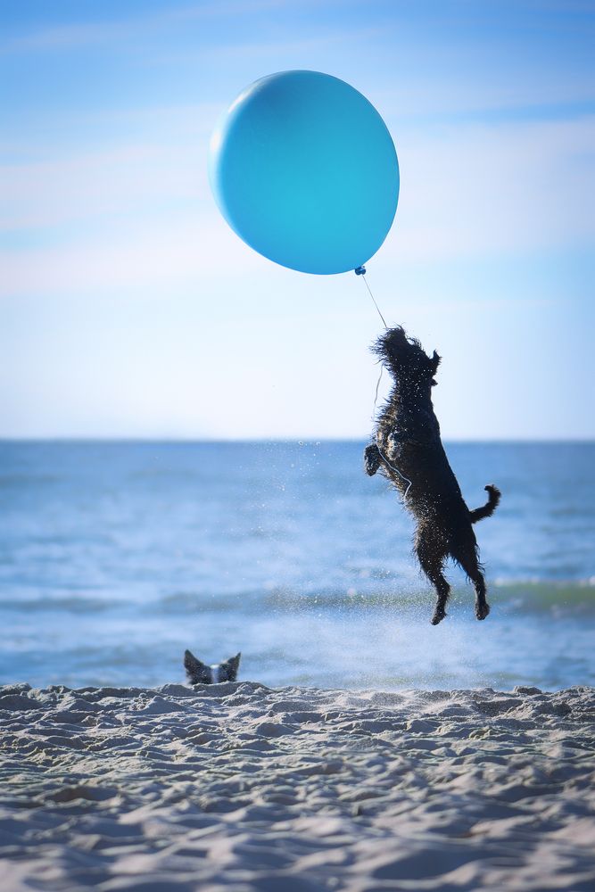 Photograph by Татьяна Полякова