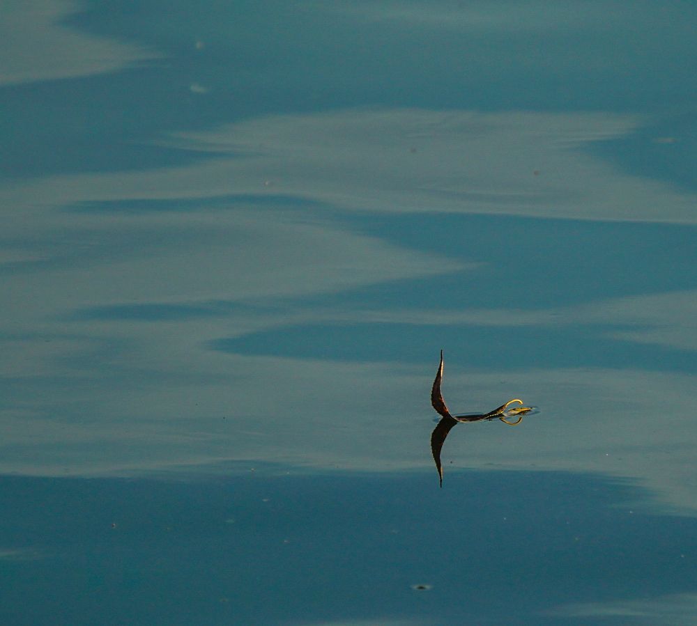Photograph by Владимир Орлов