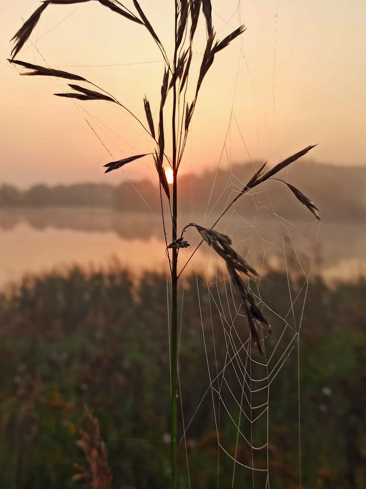 Photograph by Елена Черняк