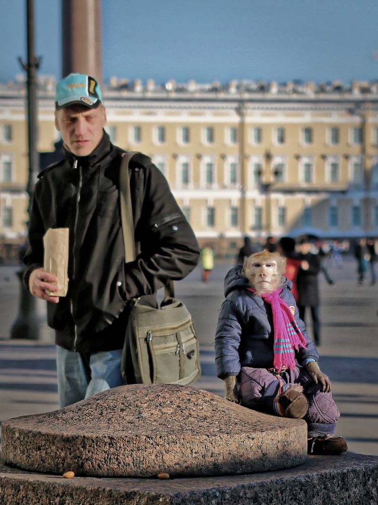 Фотография автора Анатолий Дауров