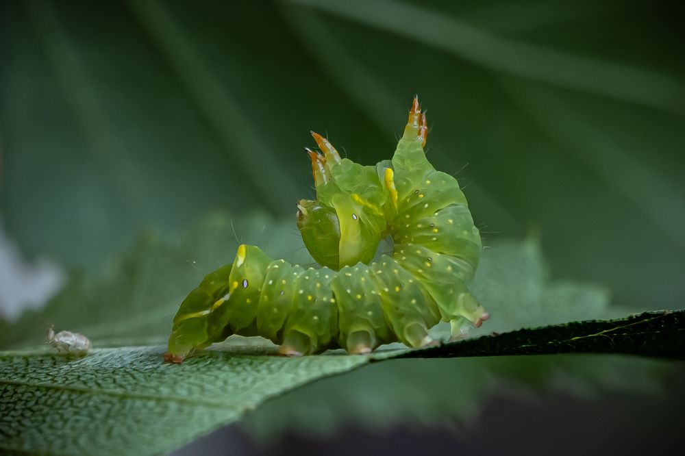 Photograph by Высотских Владимир