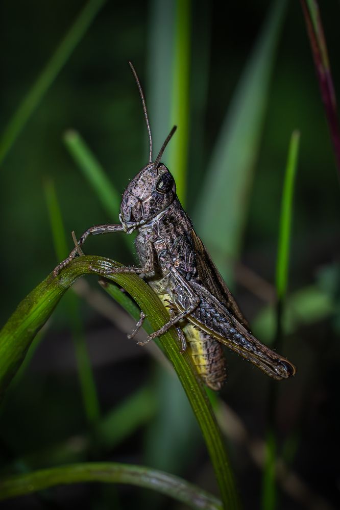 Photograph by Высотских Владимир