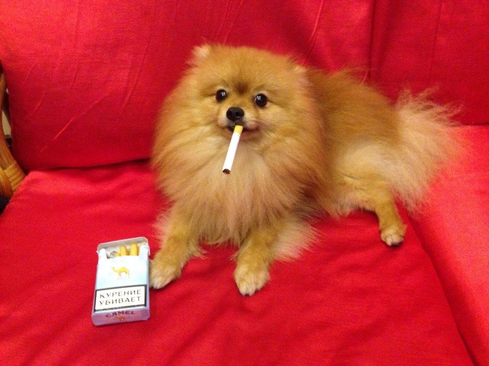 Photograph by Александр Кудрявцев