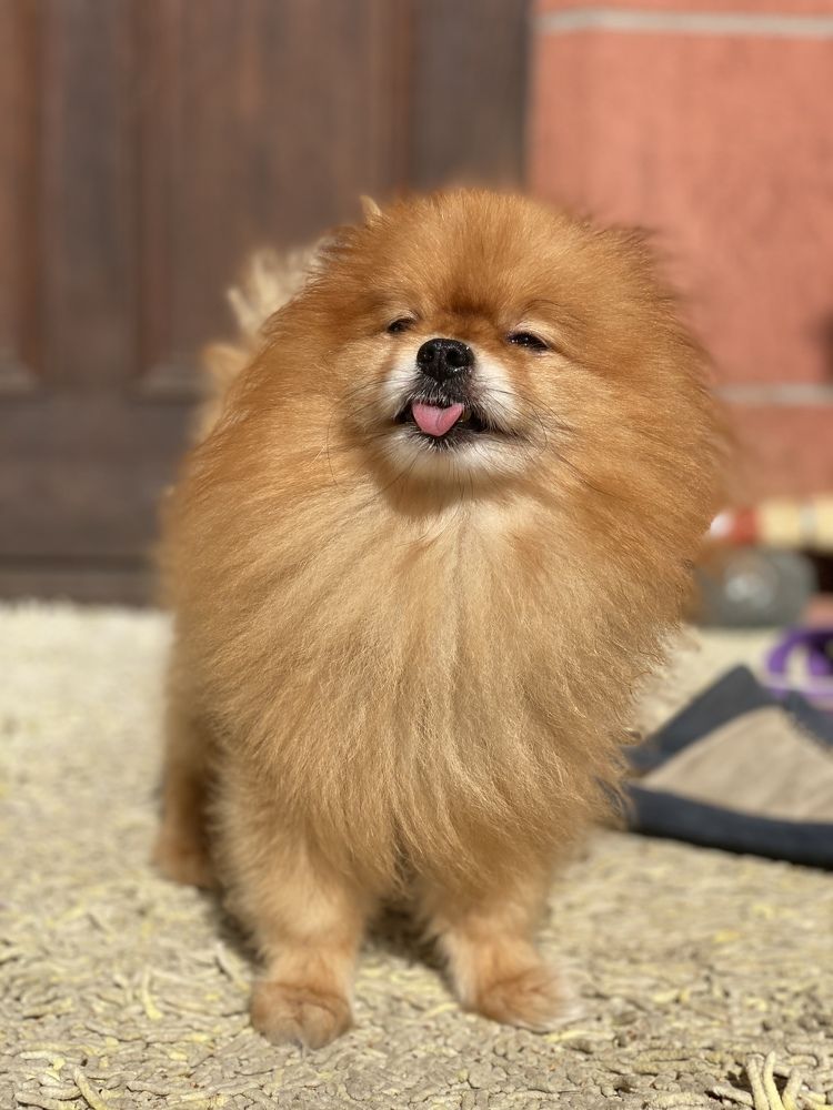 Photograph by Александр Кудрявцев