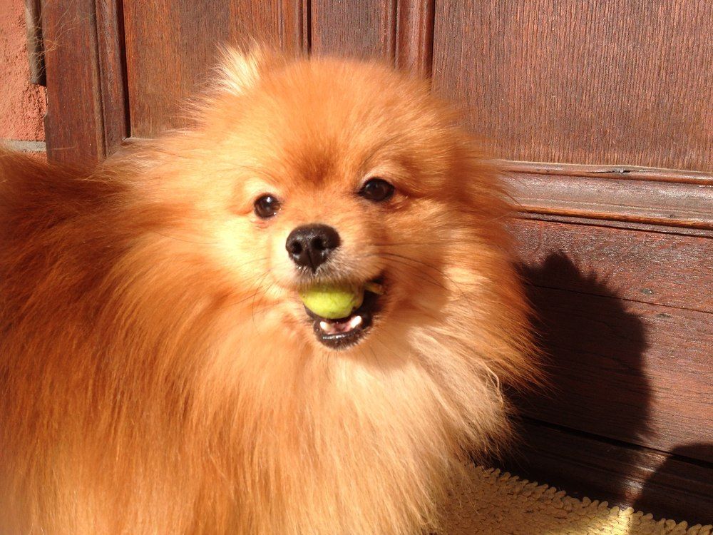 Photograph by Александр Кудрявцев