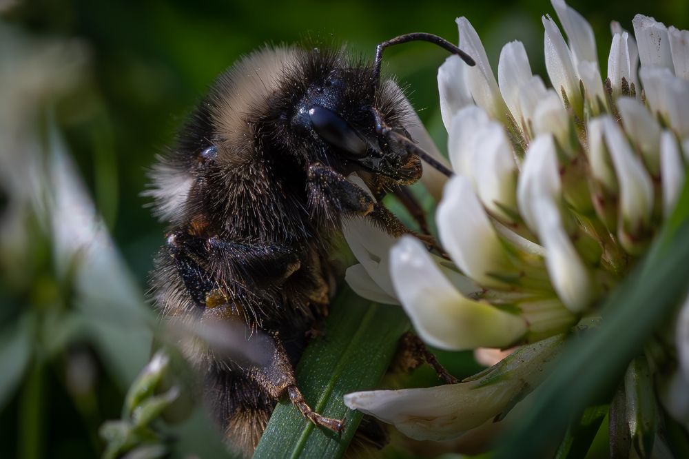 Photograph by Высотских Владимир