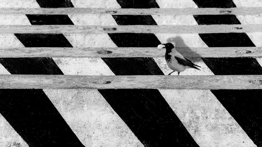 Photograph by Luca Menotti