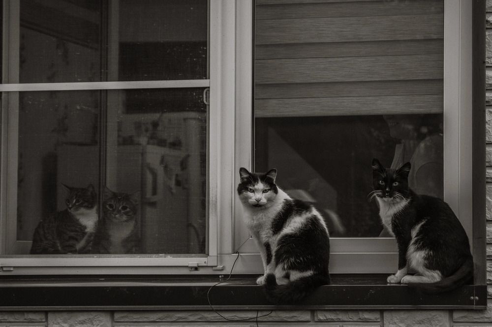 Photograph by Kseniya Yasyuchenya