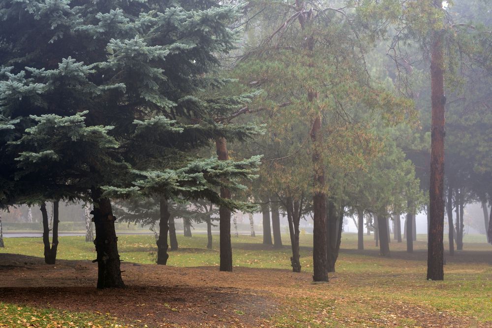 Фотография автора Дмитрий Кетов