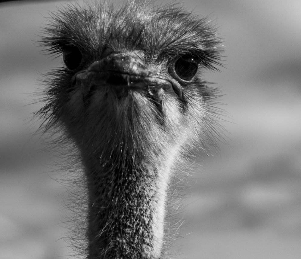 Photograph by Elizaveta Yasyuchenya