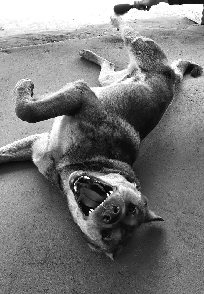 Photograph by Ксения Щербань